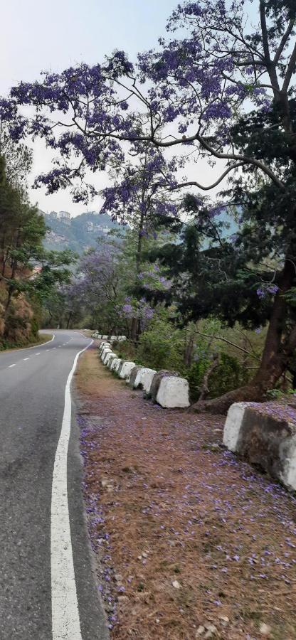 Hotel The Paal Shimla Bagian luar foto